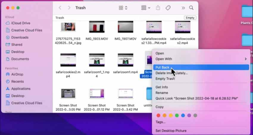 check mac trash