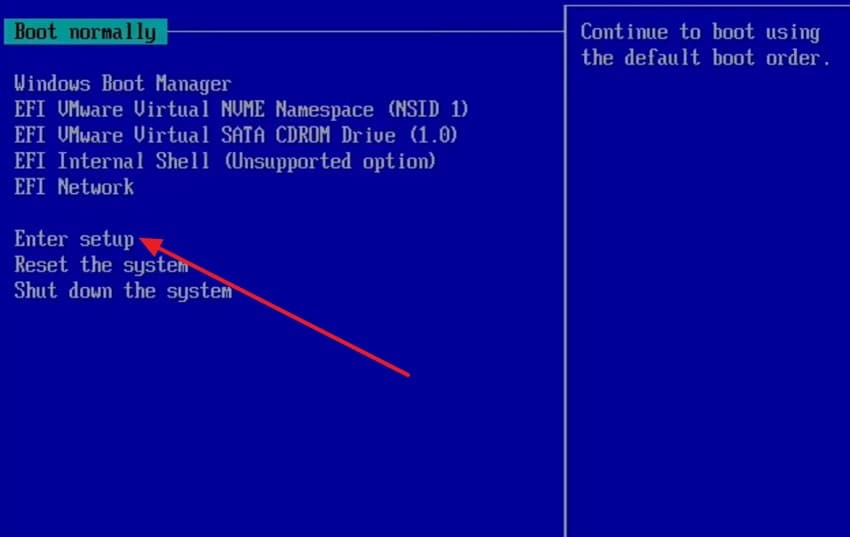 enter bios setup option