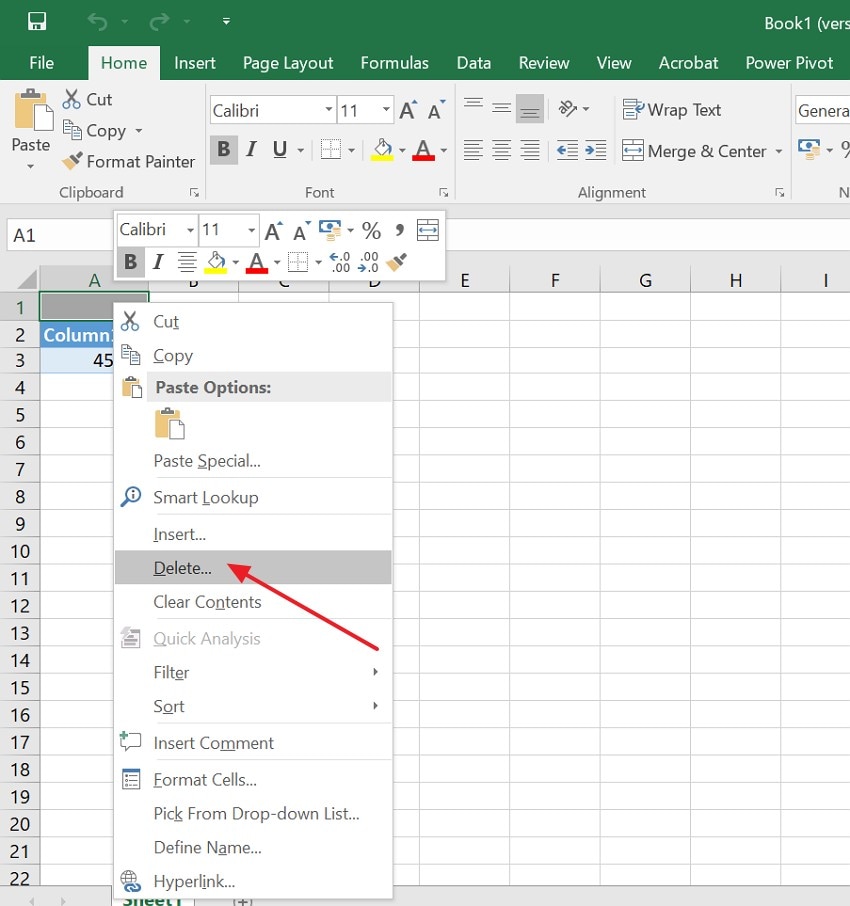 choose the delete option