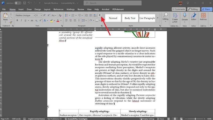 enable paragraph marks on word