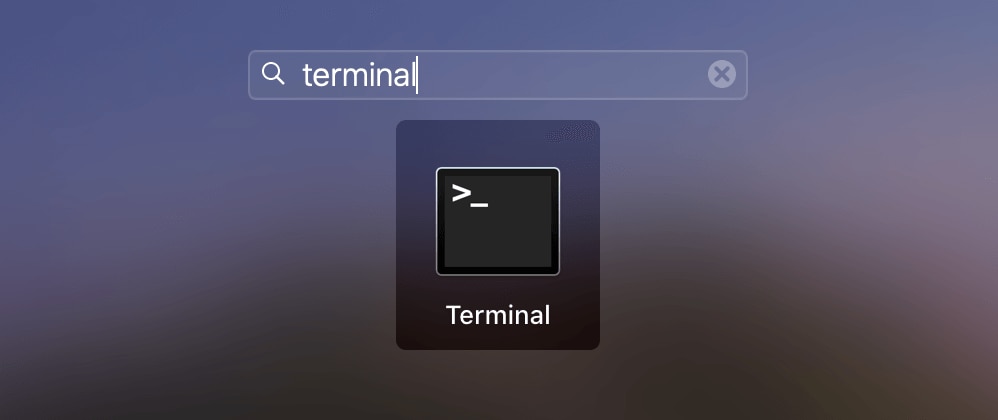 opening the terminal