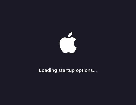 load startup options