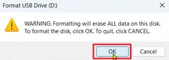 confirm usb drive format