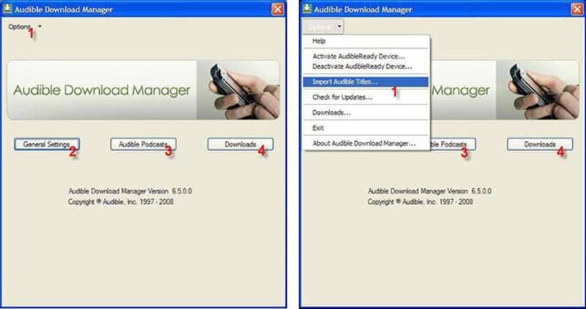 options in audible download manager