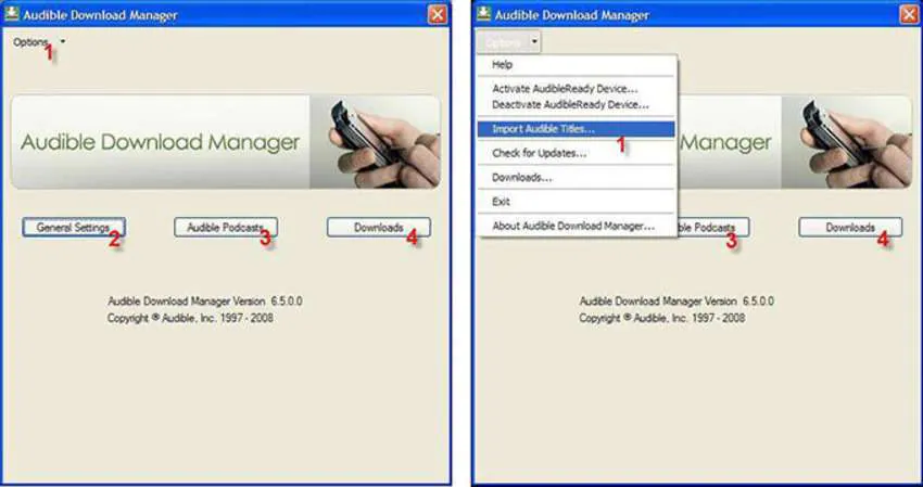 options in audible download manager