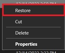 restore tmp file from recycle bin