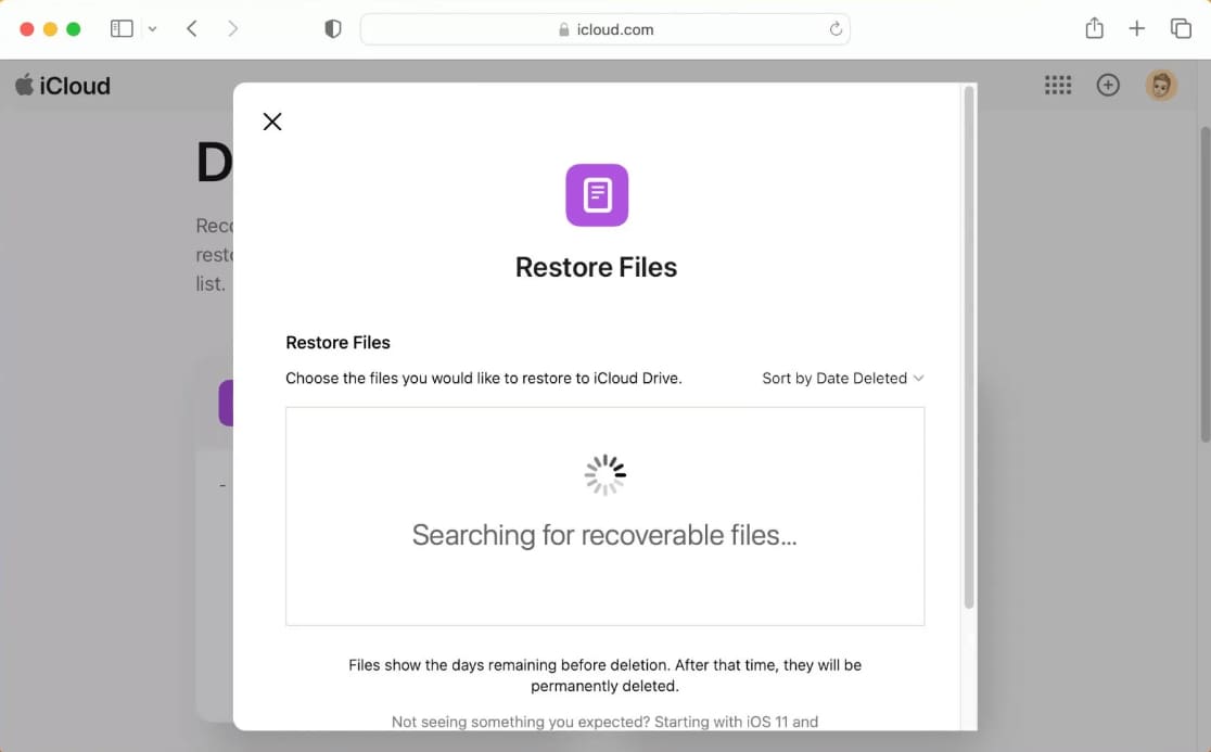 Klicken Sie auf Dateien wiederherstellen, um die Dateien aus dem iCloud-Backup wiederherzustellen.