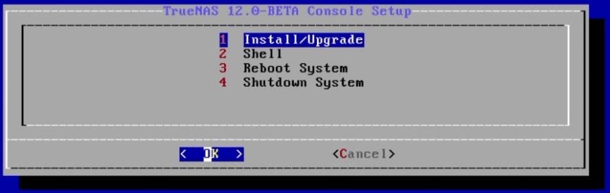 console setup menu to install truenas