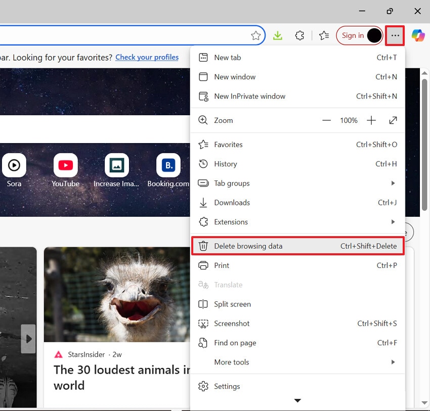 select delete browsing data option