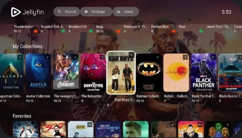 jellyfin stremio alternative interface