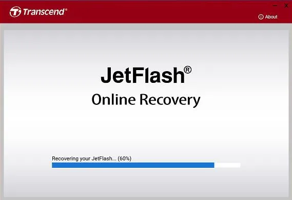 Scansione di recupero online jetflash