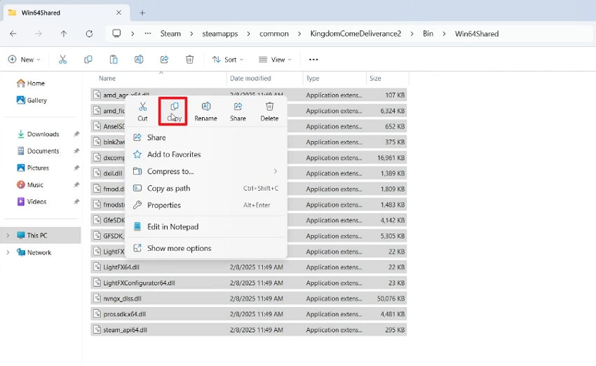copy all the files here
