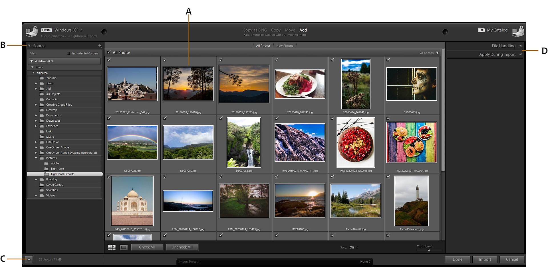 official lightroom classic import window showing source and import controls