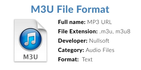 what is m3u format