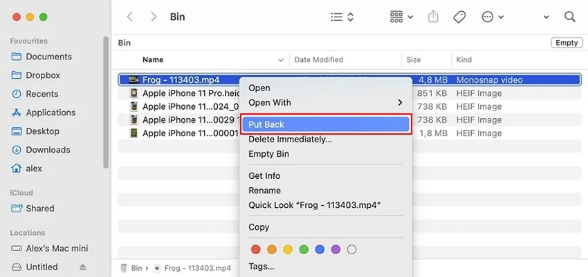 put back file from bin mac