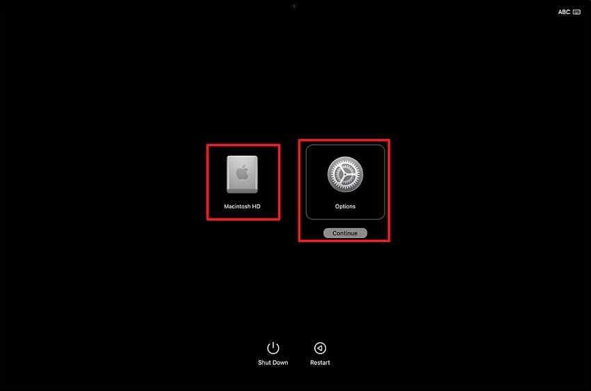 choose a startup disk from apple silicon startup options