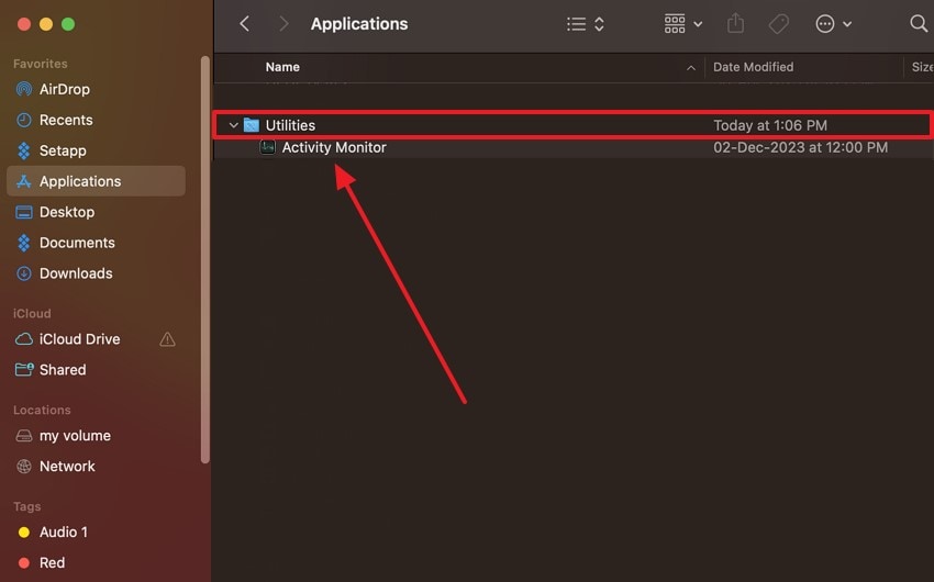 choose activity monitor from utilities folder