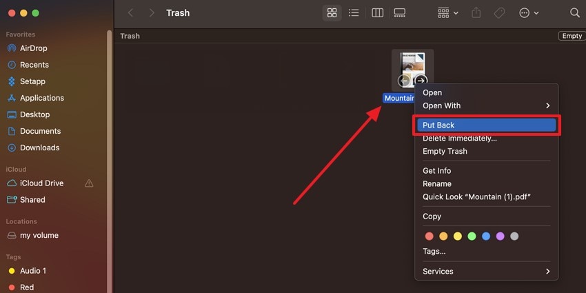 restore deleted files from recycle bin