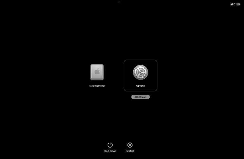 apple silicon mac startup options showing macos recovery