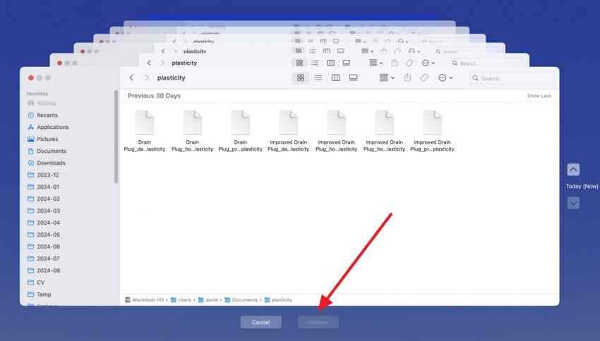restore a selected file from an earlier time machine backup