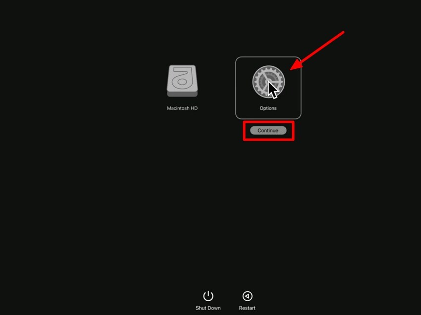 access option recovery mode