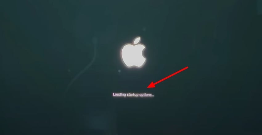 loading startup options mac sequoia