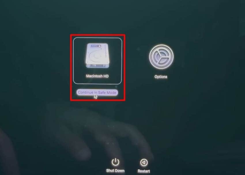 choose macintosh hd safe mode