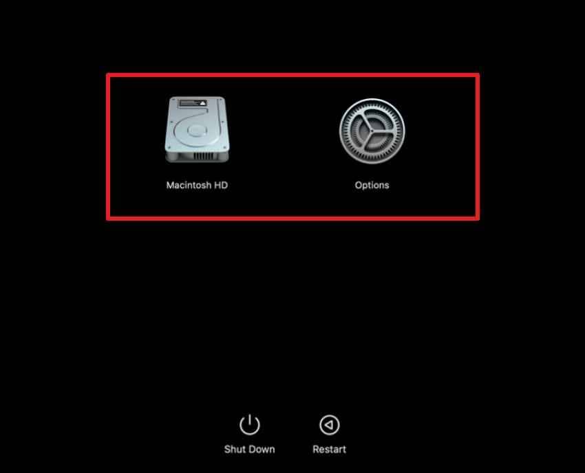 holding the power button to show apple silicon startup options