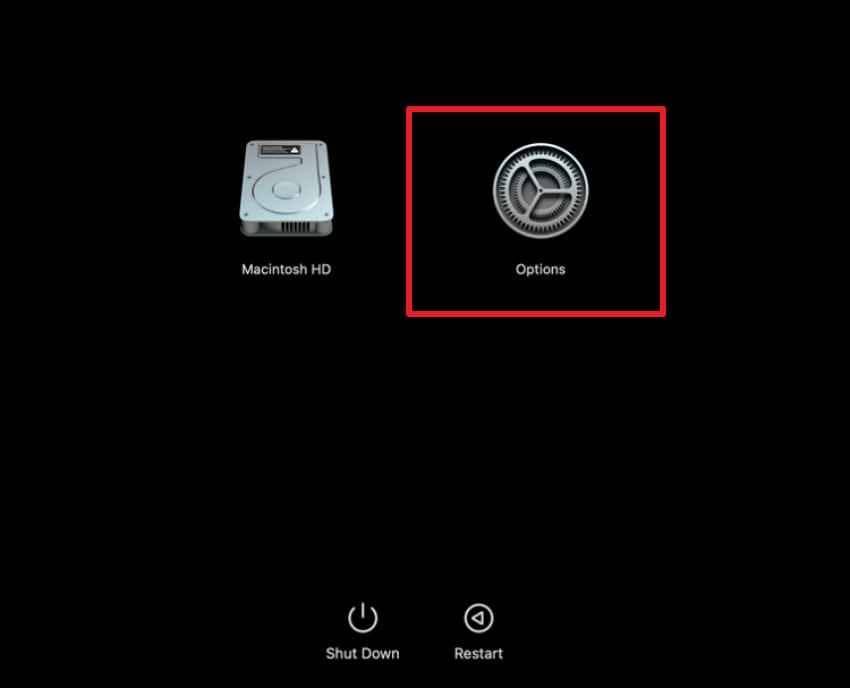 options button for macos recovery on an apple silicon macbook