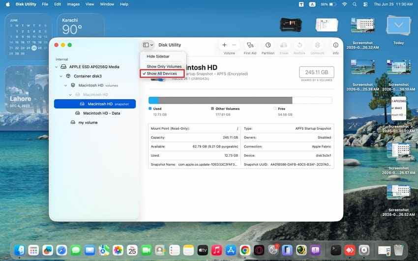 show all disk devices