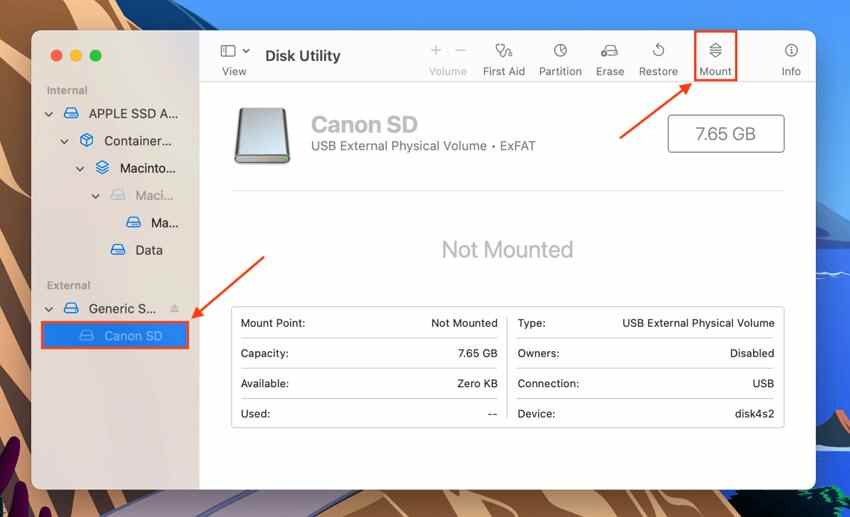 mount sd card manually