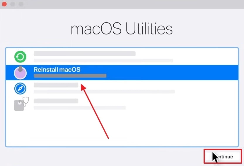 choose reinstall macos in recovery