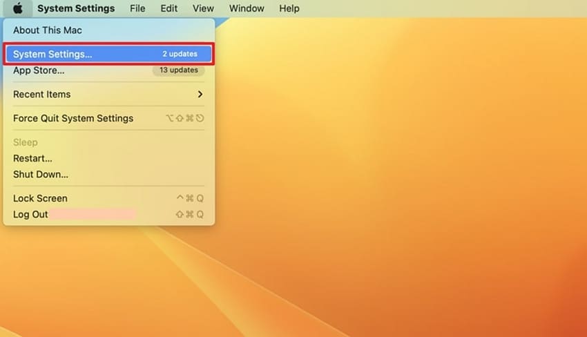 access macbook system settings