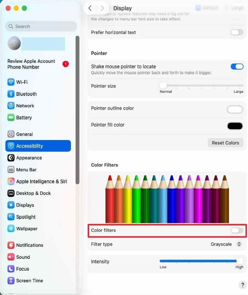 disable accessibility color filters
