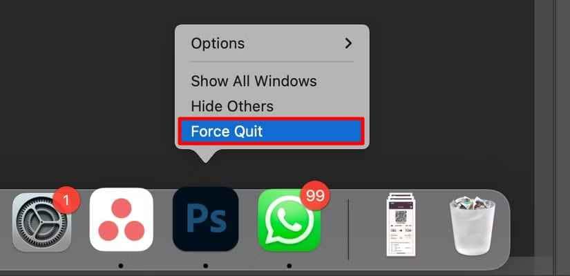 force quit app from dock