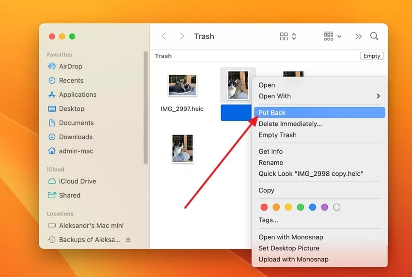 recover video with mac trash
