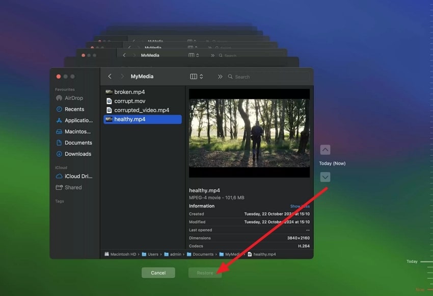 recover video with time machine backup