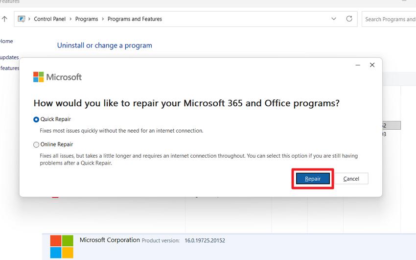 choose repair option and repair