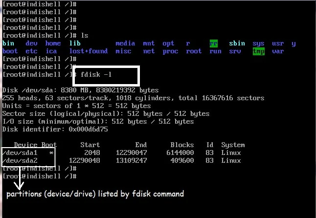 eseguire il comando fdisk