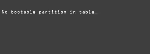 no bootable partition in table