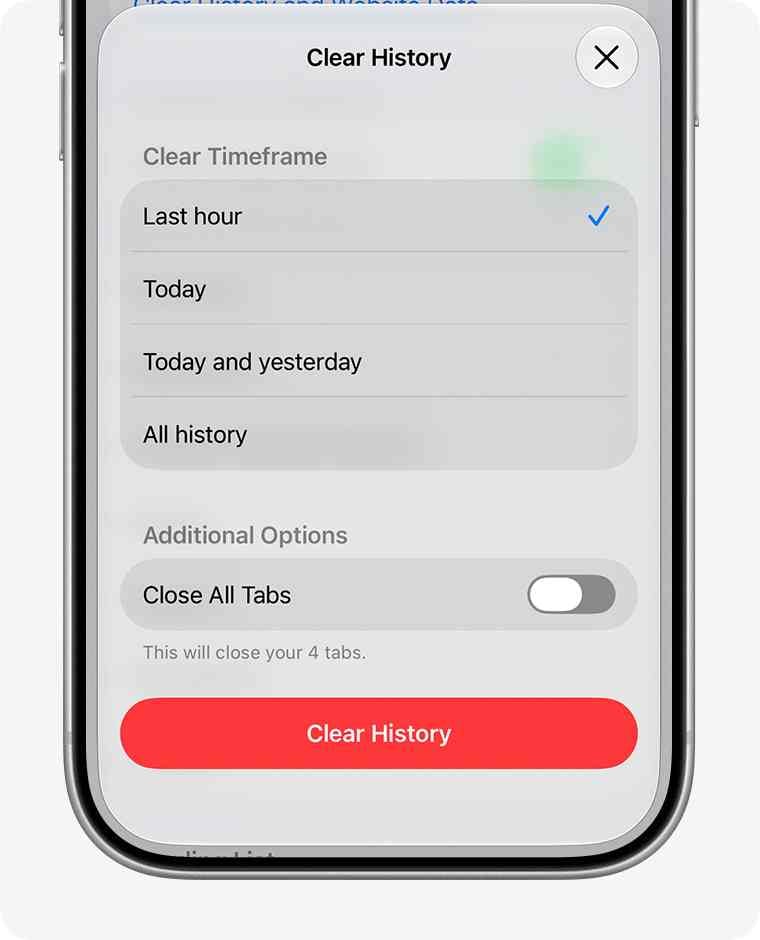 iphone safari clear history dialog with the timeframe selector