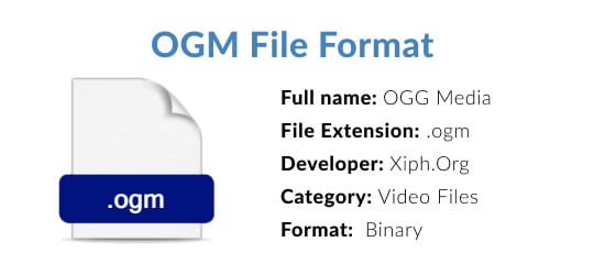 what is ogm file format