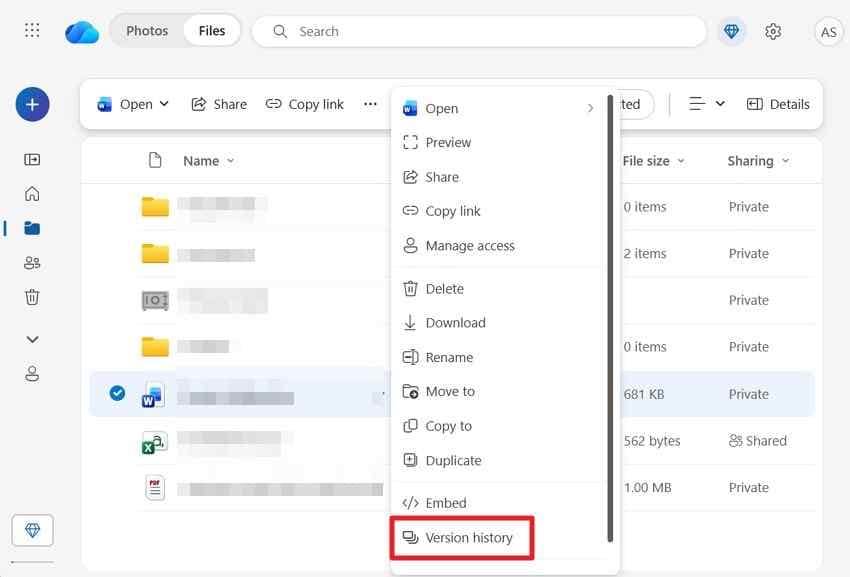 open version history for a onedrive file