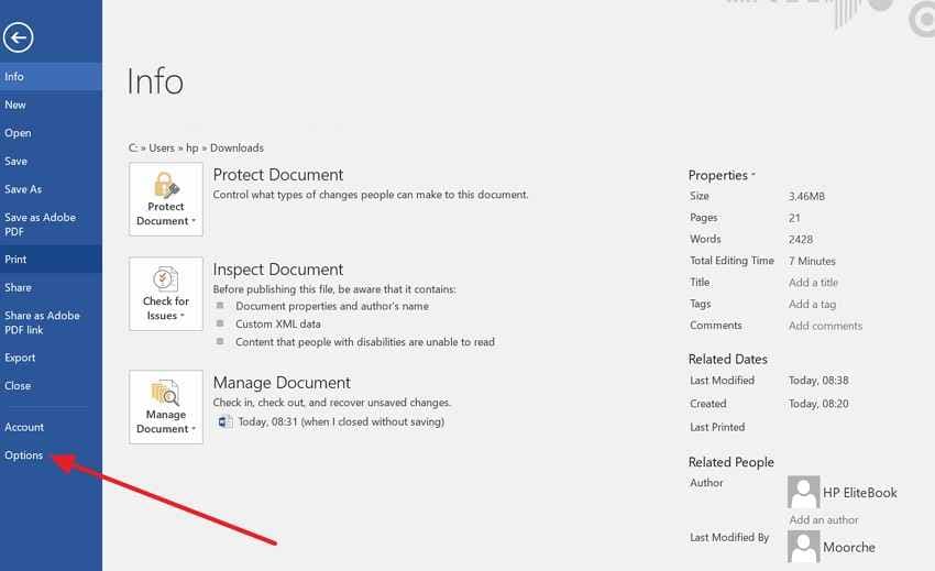 access word options panel 