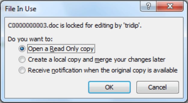 open read-only file