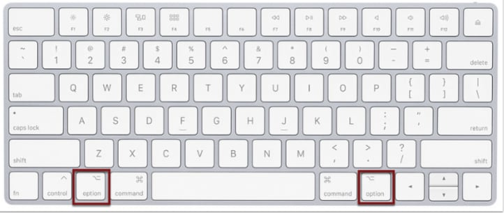option key on the keyboard