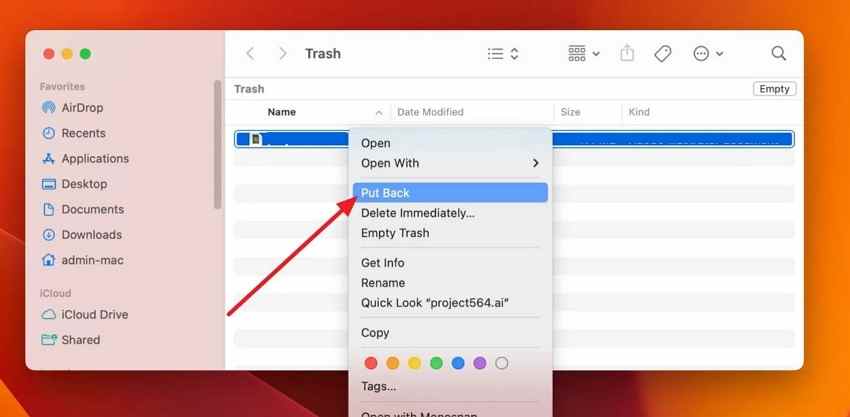 check trash bin mac deleted files