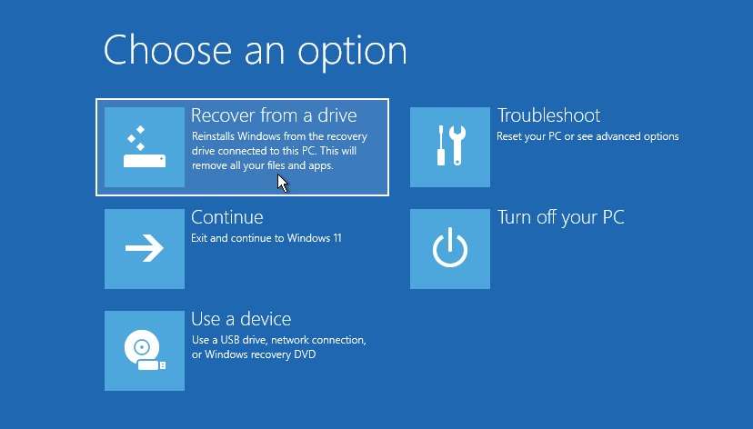recover from a drive option 