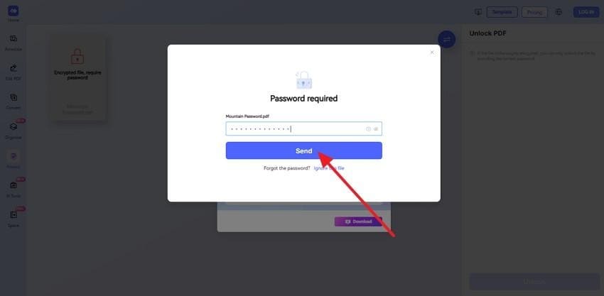enter the existing password in the hipdf online unlock dialog