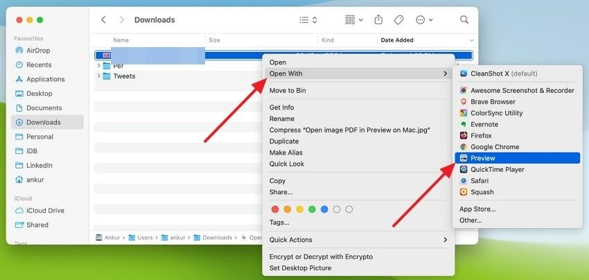 open a protected pdf copy using preview on mac